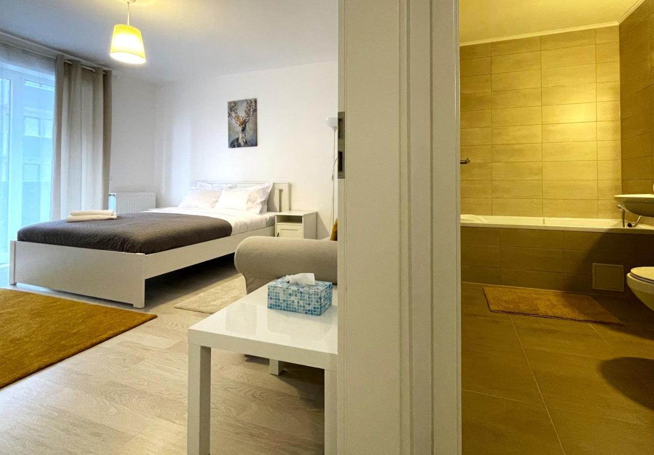 Bartolomeu Serenity Studio Brasov Bagian luar foto