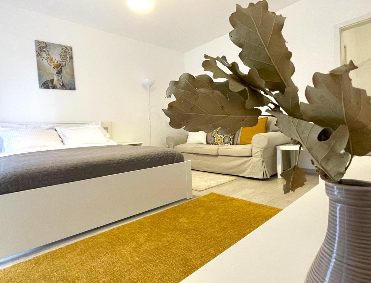 Bartolomeu Serenity Studio Brasov Bagian luar foto